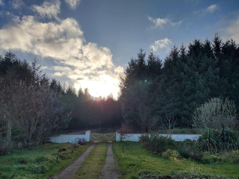 Forest View Cabin Ballaghaderreen Exterior foto