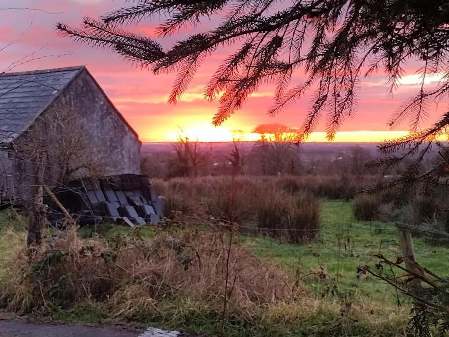 Villa Forest View Cabin Ballaghaderreen Exterior foto